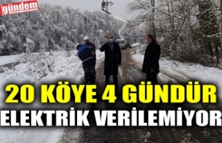 20 KÖYE 4 GÜNDÜR ELEKTRİK VERİLEMİYOR