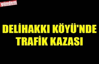 DELİHAKKI KÖYÜ'NDE TRAFİK KAZASI