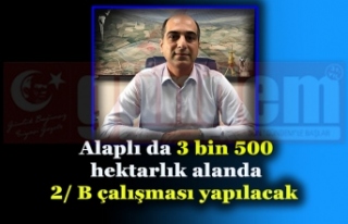 Alaplı da 3 bin 500 hektarlık alanda 2/ B çalışması...