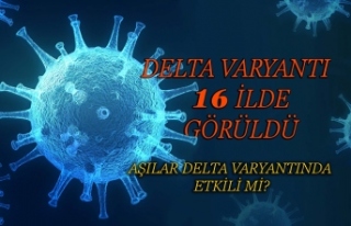 DELTA VARYANTI 16 İLDE GÖRÜLDÜ