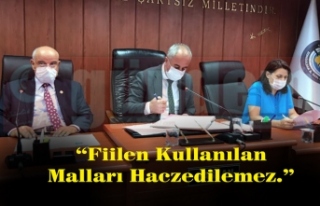 " Kamu Hizmetlerinde Fiilen Kullanılan Malları...