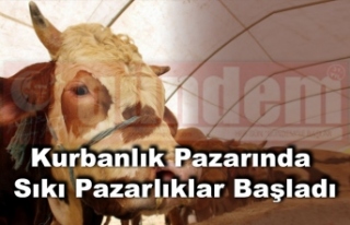 Kurbanlık Pazarında Sıkı Pazarlıklar Başladı