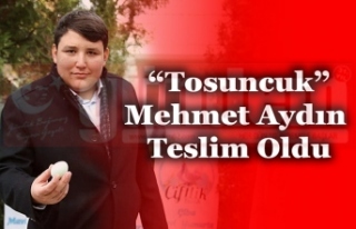 Tosuncuk Mehmet Aydın Teslim Oldu!