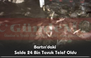 Bartın'daki  Selde 24 Bin Tavuk Telef Oldu