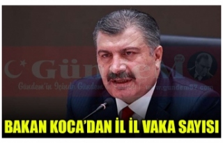 BAKAN KOCA’DAN İL İL VAKA SAYISI