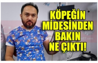 KÖPEĞİN MİDESİNDEN BALON ÇIKTI!