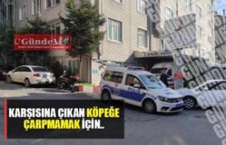 Karşısına çıkan köpeğe çarpmamak için...