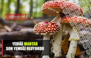 Yediği mantar son yemeği oluyordu..