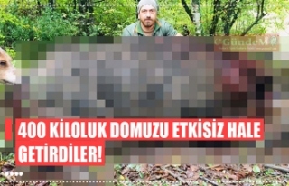 400 KİLOLUK DOMUZU ETKİSİZ HALE GETİRDİLER!