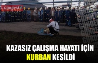 KAZASIZ ÇALIŞMA HAYATI İÇİN KURBAN KESİLDİ