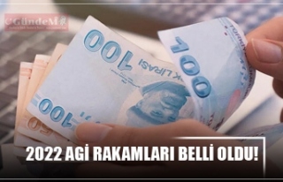 2022 AGİ RAKAMLARI BELLİ OLDU!