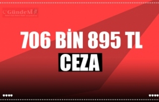 706 BİN 895 TL CEZA