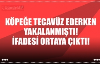 KÖPEĞE TECAVÜZ EDERKEN YAKALANMIŞTI! İFADESİ...