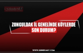 ZONGULDAK İL GENELİNDE KÖYLERDE SON DURUM?