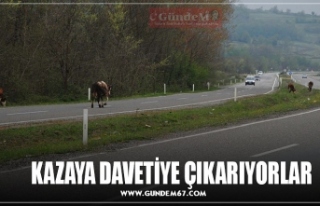 KAZAYA DAVETİYE ÇIKARIYORLAR