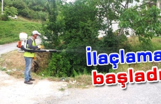 İlaçlama başladı