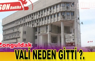 VALİ NEDEN GİTTİ ?