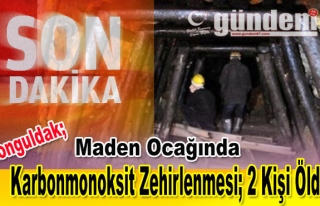 Karbonmonoksit zehirlenmesi 2 Kişi Öldü.