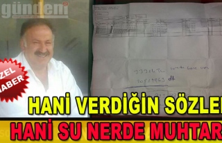 Hani verdiğin sözler, hani su nerede muhtar?