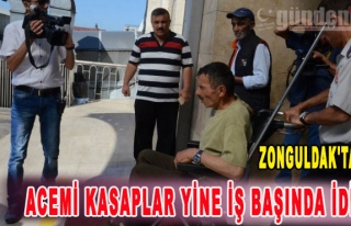 Zonguldak'ta Acemi kasaplar yine iş başında idi