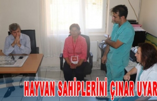 Hayvan Sahiplerini Çınar uyardı