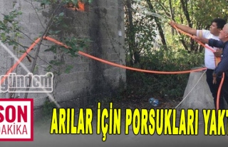 Arılar için porsukları yaktı