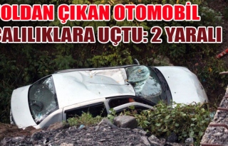 YOLDAN ÇIKAN OTOMOBİL ÇALILIKLARA UÇTU: 2 YARALI