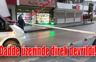 Cadde üzerinde direk devrildi!