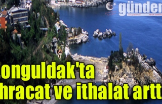 Zonguldak'ta ihracat ve ithalat arttı