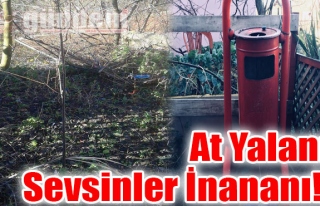 At Yalanı Sevsinler İnananı!..