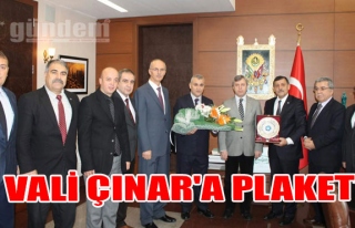 Vali Çınar'a Plaket