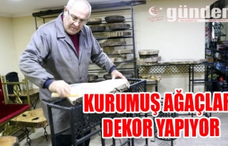 Kurumuş ağaçları dekor yapıyor