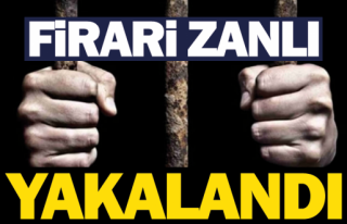 Düzce'de firari zanlı yakalandı