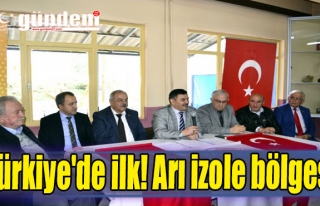 Türkiye'de ilk! Arı izole bölgesi