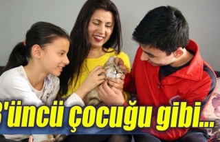 3'üncü çocuğu gibi...