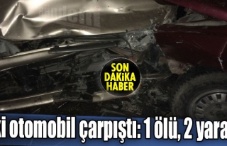 İki otomobil çarpıştı: 1 ölü, 2 yaralı