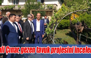 Vali Çınar, gezen tavuk projesini inceledi