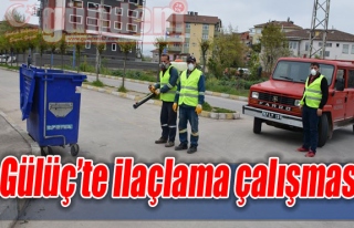 Gülüç'te ilaçlama çalışması