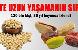 FINDIK İNSAN YAŞAMINI UZALTIYOR