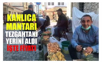 KANLICA MANTARI TEZGAHTAKİ YERİNİ ALDI