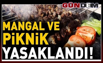 Mangal ve piknik yasaklandı!...