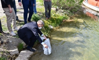 Göletlere 30 bin sazan bırakıldı