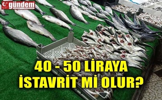 40 - 50 LİRAYA İSTAVRİT Mİ OLUR?